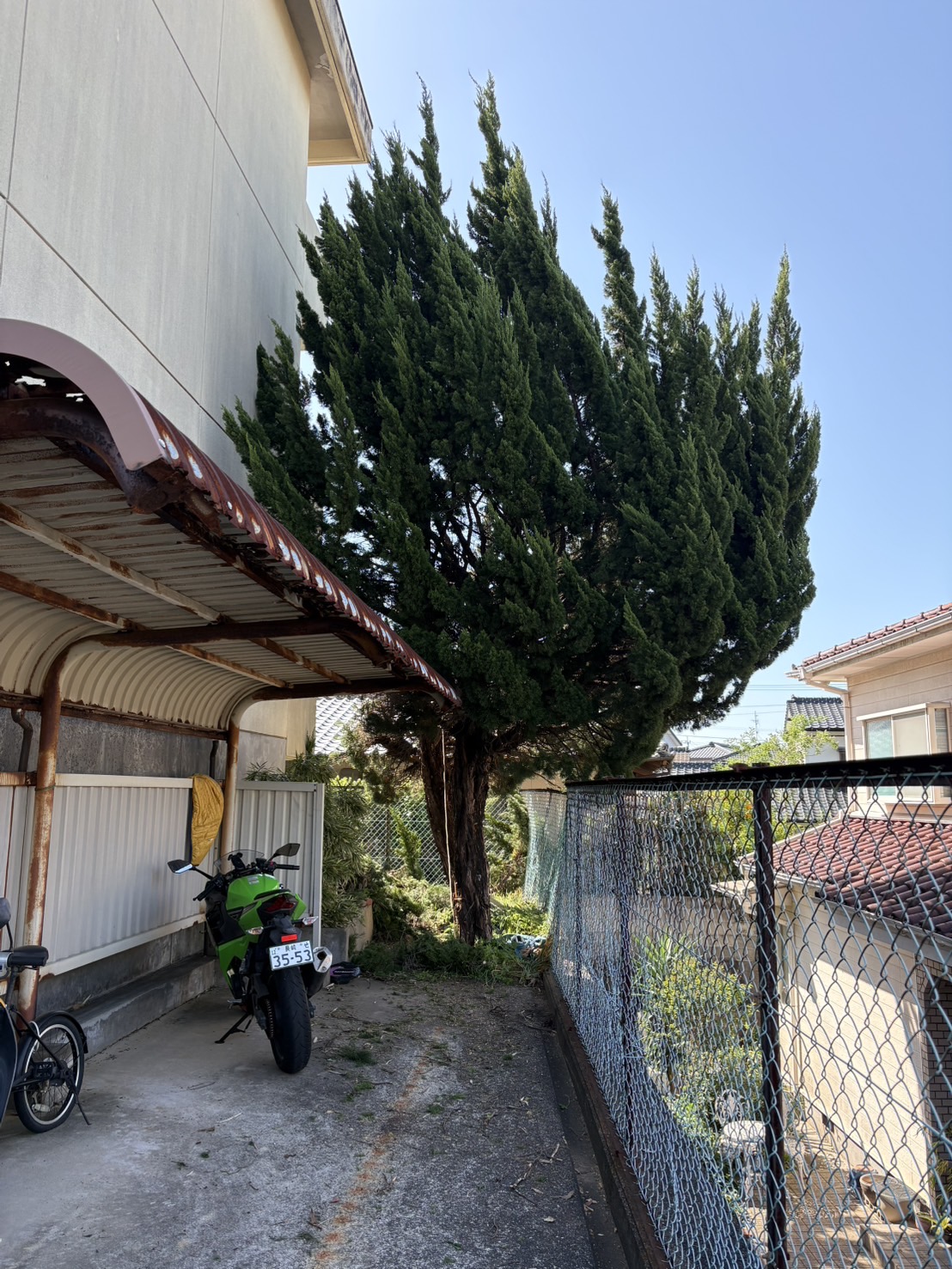 建物脇の木の伐採:施工前